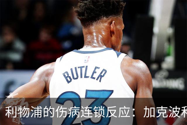 利物浦的伤病连锁反应：加克波和伊萨克的“双重打击